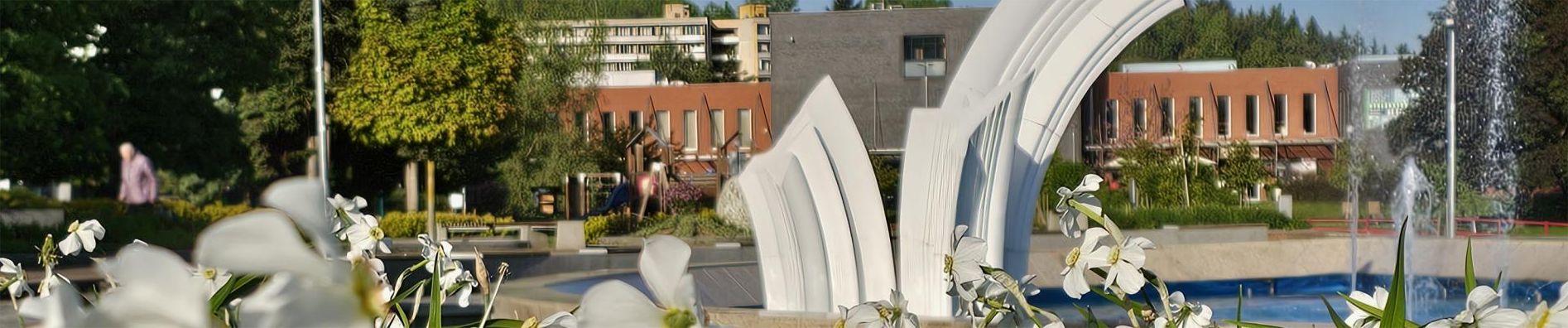 POVAŽSKÁ BYSTRICA: Obľúbenú studničku na Rozkvete čaká obnova