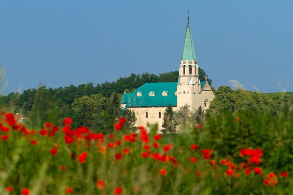 NOVÉ SADY: Obec v kocke - Územie obce má rozlohu 1 747 ha.