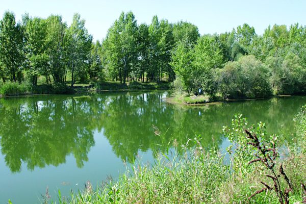 IVANKA PRI NITRE: Poloha obce