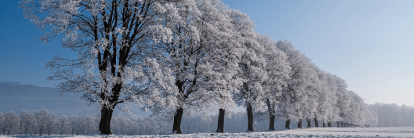 MOŠOVCE: Múzeum mošovských remesiel