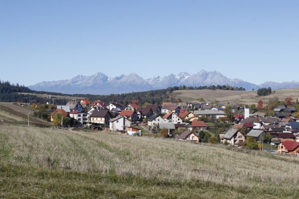 VLKOVCE: Očkovanie psov