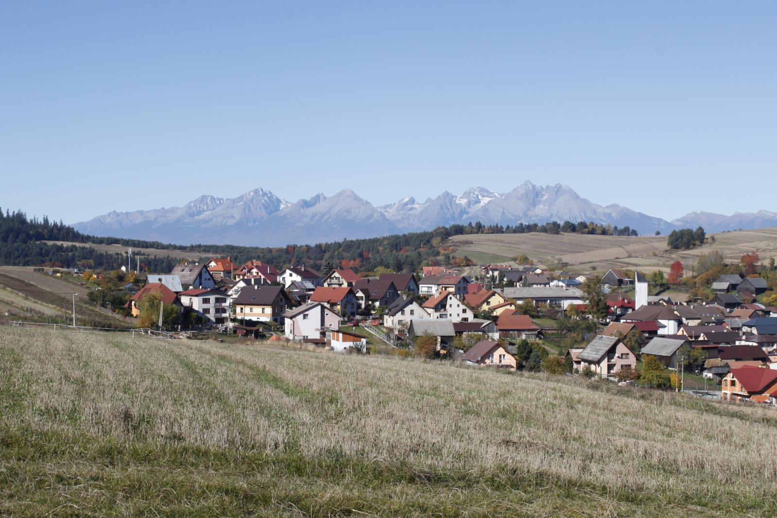 VLKOVCE: Očkovanie psov