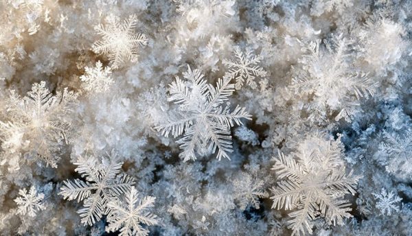 KOŠICKÝ KLEČENOV: Súťaž o najkrajšieho snehuliaka