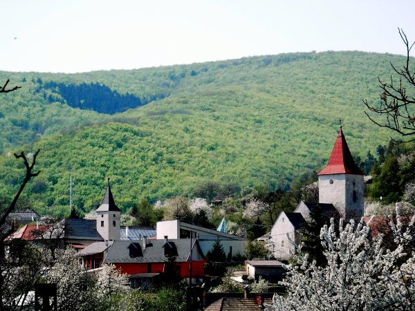 KYSAK: Listiny z roku 1289 o rozdelení majetku Petra z Drienova (de Somos / rod Aba)