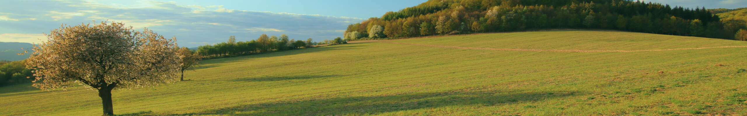 DOLNÉ KOČKOVCE: Hody 2025 a naši hasiči