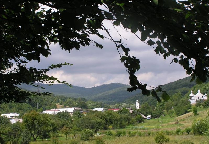 MEDVEDIE: V našej krajine prevládajú lesy s prevahou buka, brezy a borovice a máme tu aj sírový minerálny prameň.