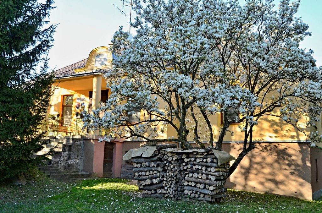 KRNÁ: Najstaršou pamätihodnosťou obce je klasicistická kúria z roku 1820