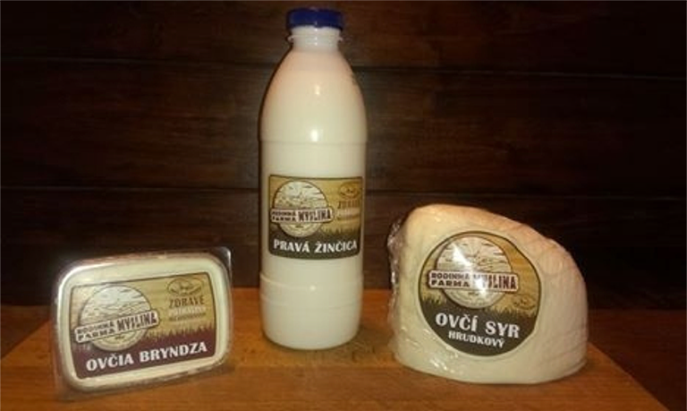 MYSLINA: Firmy a služby v obci