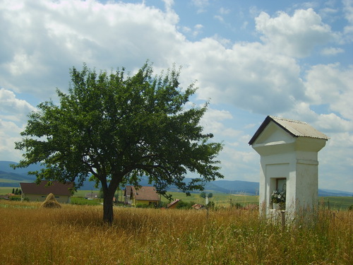 ODORÍN: Susedné obce su Harichovce, Danišovce, Markušovce, Lieskovany, Spišská Nová Ves, Jamník, Matejovce nad Hornádom