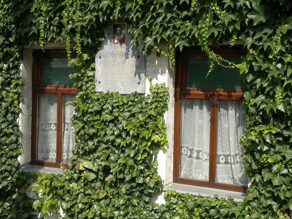 POVAŽANY: su pravom behu Váhu v blízkosti Nového Mesta nad Váhom