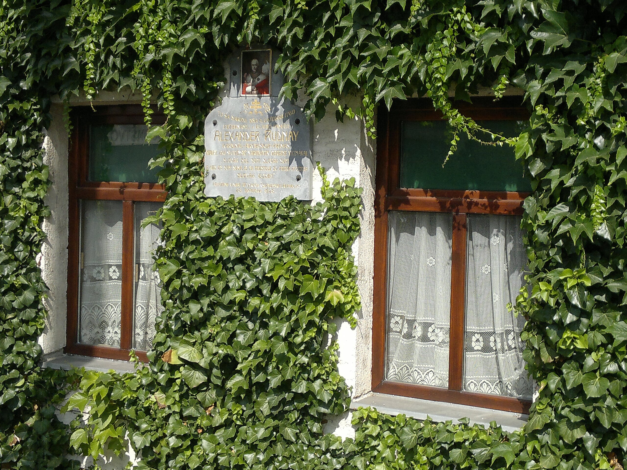 POVAŽANY: su pravom behu Váhu v blízkosti Nového Mesta nad Váhom