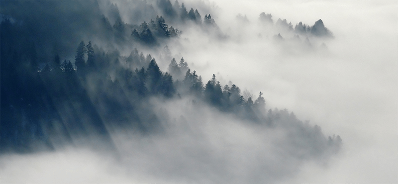 MAKOVCE: Makovce sú obec na Slovensku v okrese Stropkov.