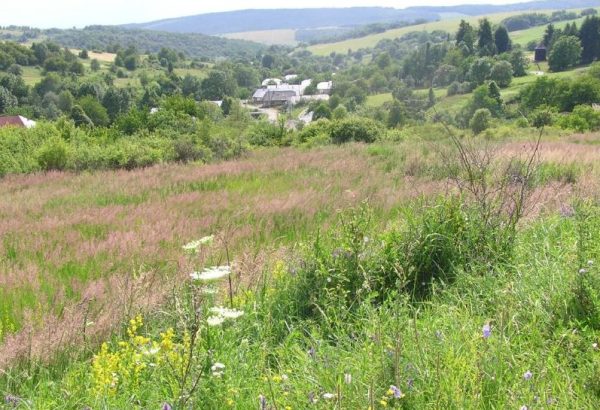 ŠEMETKOVCE: JRD bolo založené až v roku 1960
