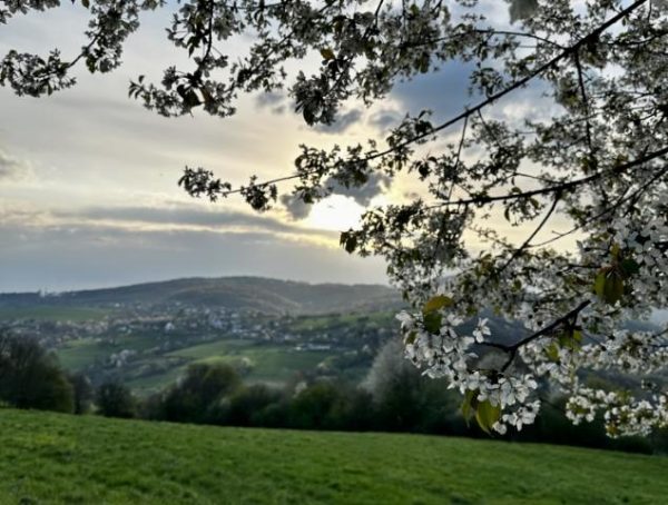 HORNÁ SÚČA: A ako dnes vyzerá príroda v okolí Hornej Súče?