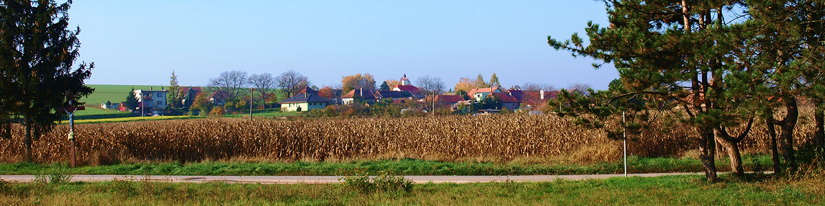 LIVINA: Obec leží v strednej časti Nitrianskej sprašovej pahorkatiny na nive a najnižšej terase Bebravy.