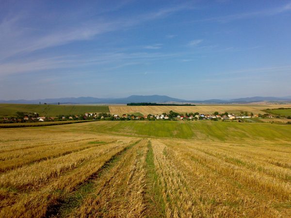 SOLČIANKY: Obec Solčianky sa prvýkrát spomína v Zoborskej listine z roku 1113 ako Celsan.