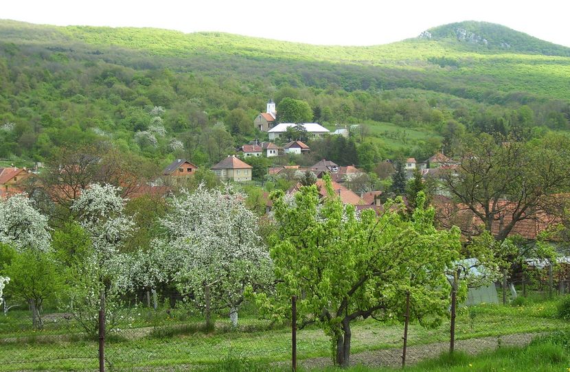 KOSTOĽANY POD TRIBEČOM: Počas druhej svetovej vojny (1939–1945) sa zrútilo v roku 1944 v lesoch neďaleko obce americké bombardovacie lietadlo.