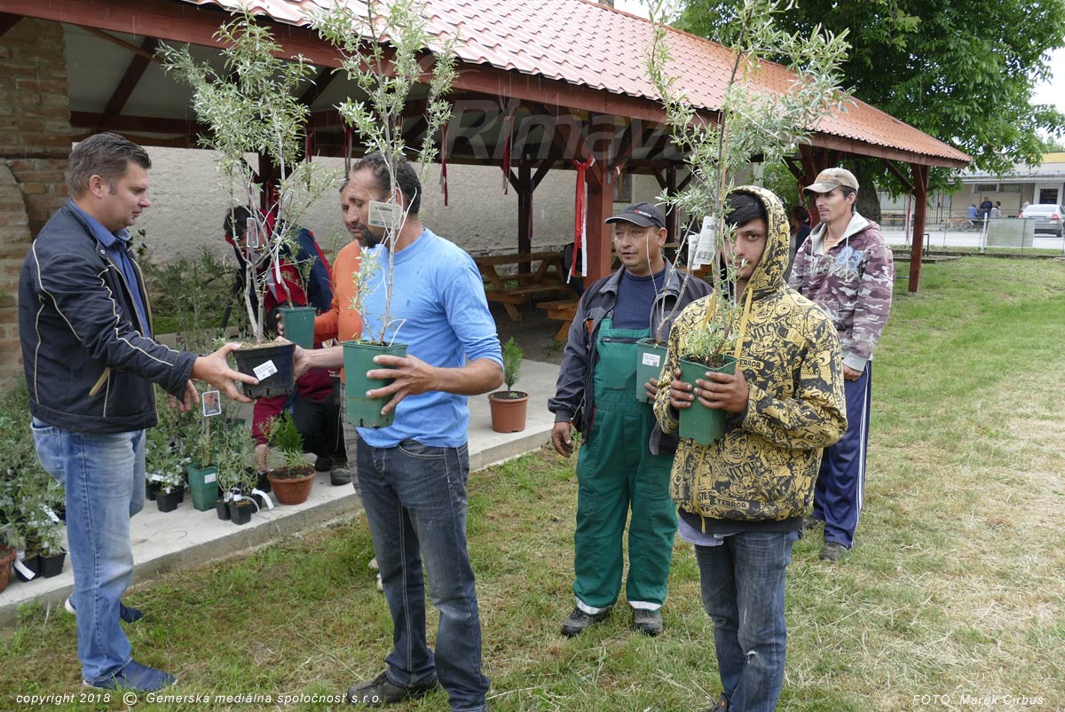 RAKYTNÍK: V obci Rakytník začali pestovať rakytník. Jeho plody využijú i tamojší obyvatelia.