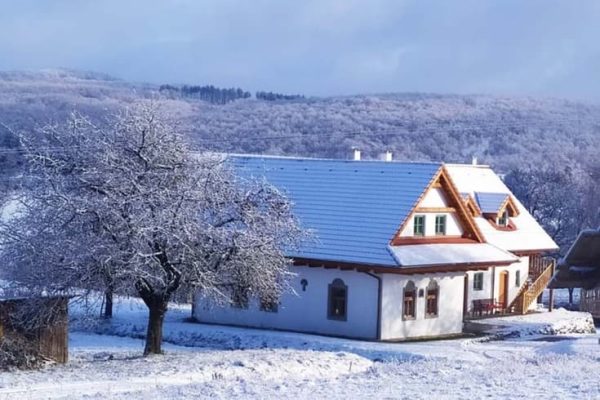 KOSIHOVCE: Prvý súkromný obchod – pohostinstvo mal Schwarz okolo 18. storočia. Okolo 19. storočia potom mal Weis obchod, kde sa predávali aj potraviny ako soľ, ocot, cukor… Ďalším obchodníkom bol Kón, ktorý už okrem potravín predával aj textil. Obchodovali ešte Klein, Kríž, Ventúra, ale to čo predávali nebolo uvedené.