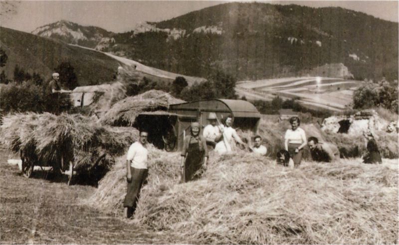 PROSIEK: Kúria z 19. stor. Dnes je v dezolátnom stave, zrúcanina. Kaštieľ pôvodne renesančný z konca 16. storočia, v 1. polovici 19. storočia klasicisticky upravený. Dnes zrúcanina.